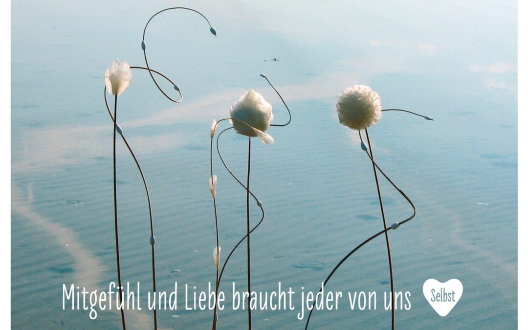Selbstmitgefühl – unsere kraftvolle Ressource